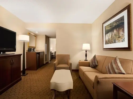 Süit, 1 En Büyük (King) Boy Yatak, Engellilere Uygun (2 Rooms, Mobility, Roll-in Shower)