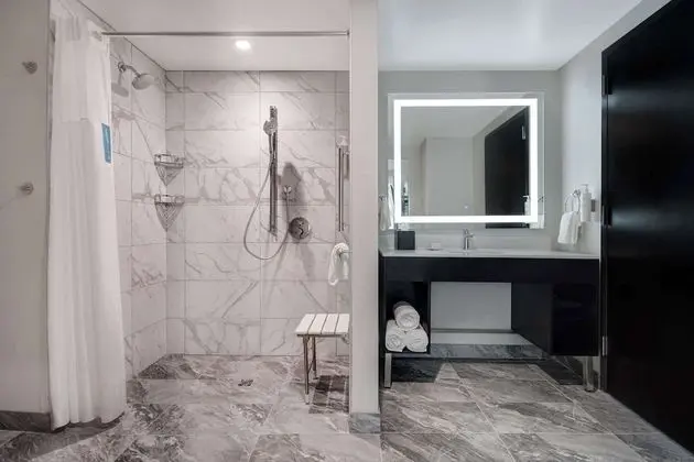 Süit, 1 En Büyük (King) Boy Yatak, Engellilere Uygun, Köşe (Roll-In Shower)
