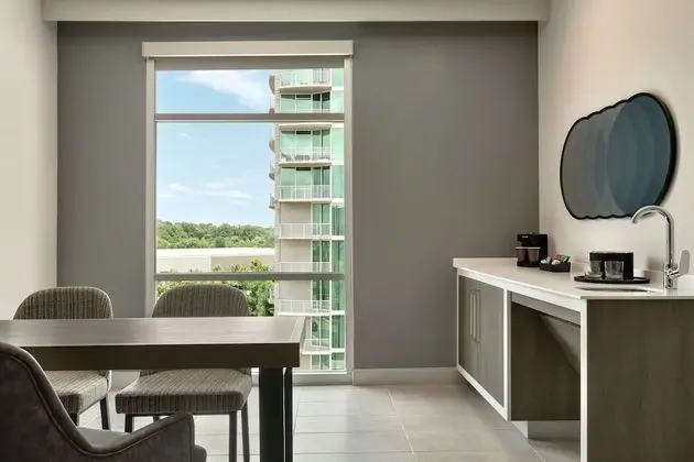 Süit, 1 En Büyük (King) Boy Yatak, Engellilere Uygun, Balkon