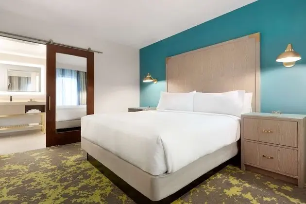 Süit, 1 Yatak Odası, Sigara İçilmez