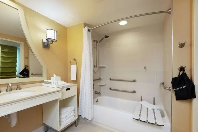 Süit, 1 En Büyük (King) Boy Yatak, Engellilere Uygun, Sigara İçilmez (Bathtub)