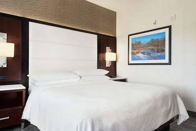 Süit, 1 En Büyük (King) Boy Yatak, Engellilere Uygun, Küvet (2 Room)