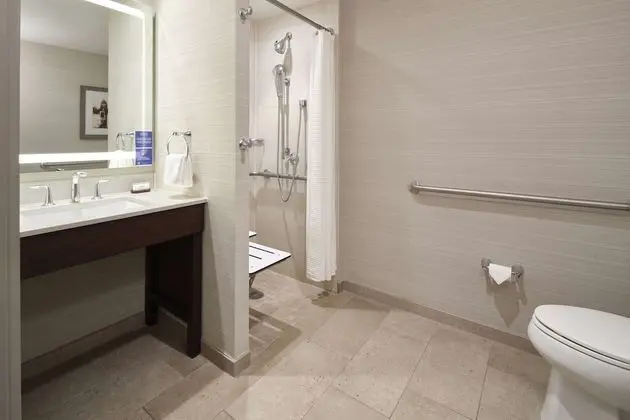 Premium Süit, 1 Yatak Odası, Engellilere Uygun, Sigara İçilmez (w/ roll-in shower)