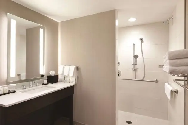 Süit, 1 En Büyük (King) Boy Yatak, Engellilere Uygun, Sigara İçilmez (Roll-in Shower)
