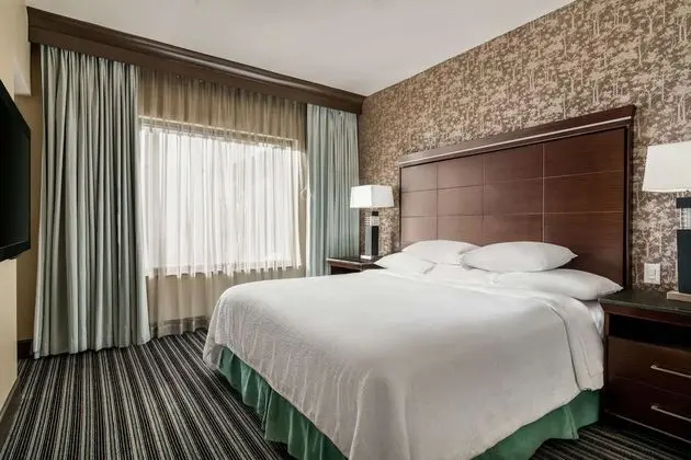 Süit, 1 En Büyük (King) Boy Yatak ve Çekyat (Two Rooms)