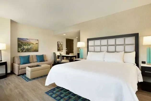 Süit, 1 En Büyük (King) Boy Yatak (1-Room Suite)