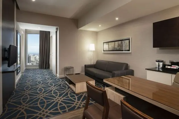 One King Bed - One Bedroom Suite (City View)
