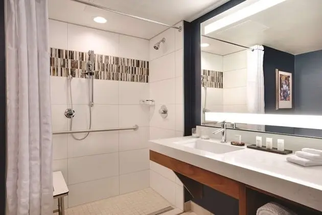 Deluxe Süit, 1 En Büyük (King) Boy Yatak, Engellilere Uygun (Roll-In Shower)