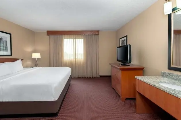 Premium Süit, 1 En Büyük (King) Boy Yatak (Wellness, In-room air purification)
