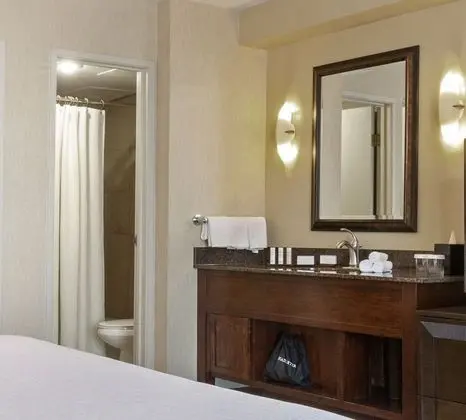 Premium Süit, 2 Çift Kişilik Yatak, Sigara İçilmez