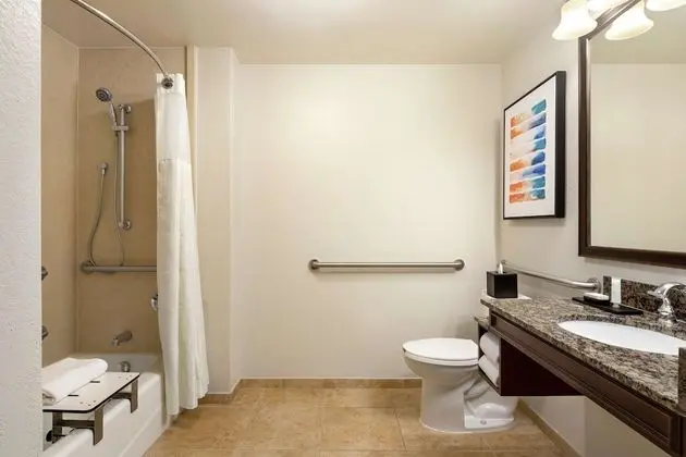 Deluxe Süit, Birden Çok Yatak, Engellilere Uygun, Sigara İçilmez (Roll-in Shower)
