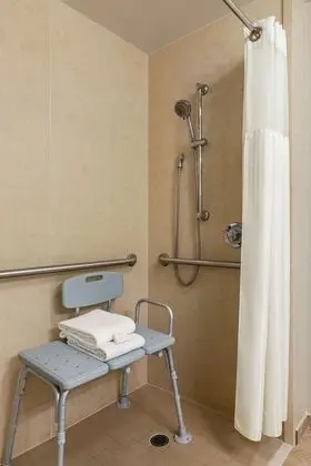 Premium Süit, 1 Yatak Odası, Engellilere Uygun, Sigara İçilmez (Roll-in Shower)