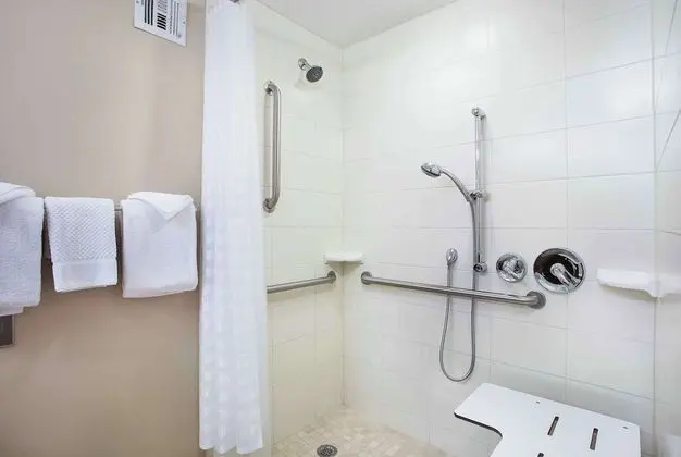 Süit, 1 En Büyük (King) Boy Yatak ve Çekyat, Engellilere Uygun, Sigara İçilmez (Roll-in shower)