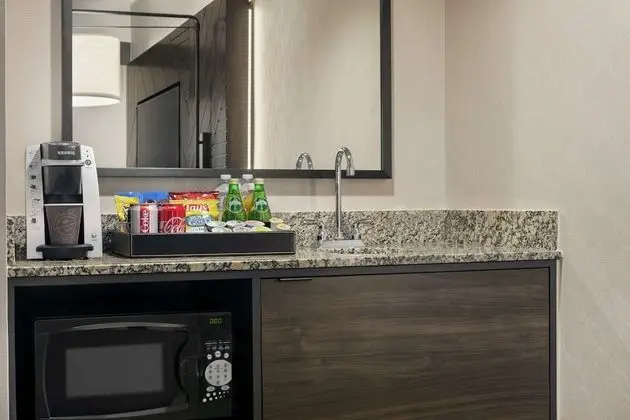 Premium Süit, 1 En Büyük (King) Boy Yatak, Sigara İçilmez