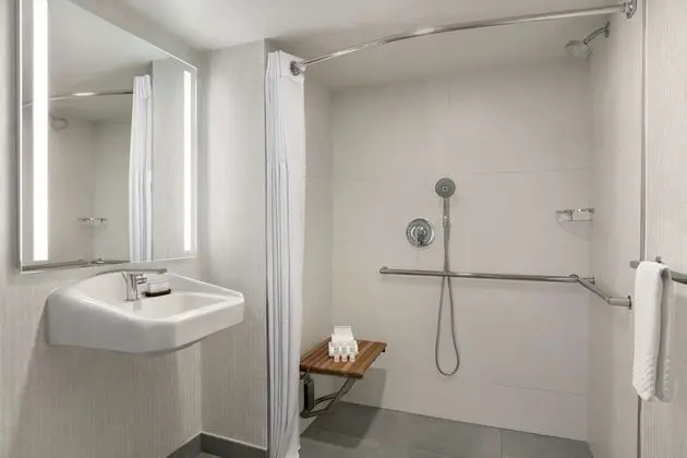 Süit, 1 En Büyük (King) Boy Yatak, Engellilere Uygun (Roll-In Shower)