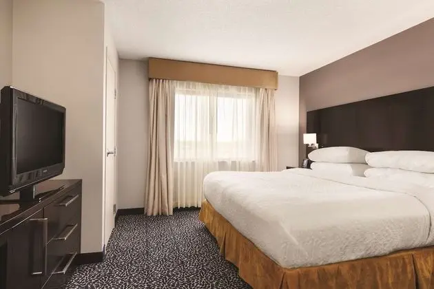 Süit, 1 En Büyük (King) Boy Yatak, Sigara İçilmez (2 Rooms)