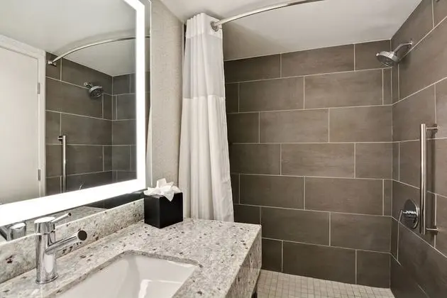 Süit, 1 En Büyük (King) Boy Yatak ve Çekyat (Roll-In Shower)