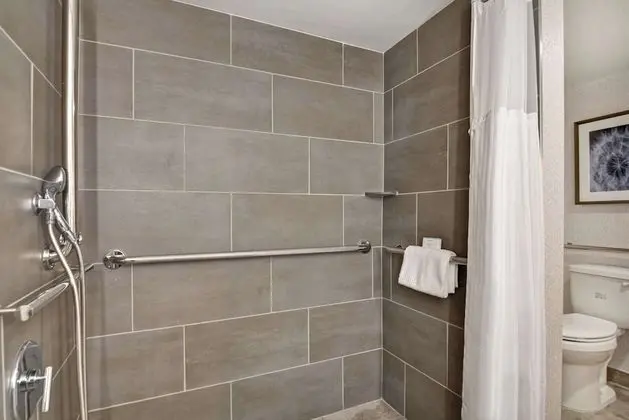 Süit, Birden Çok Yatak (Roll-In Shower, Mobilty & Hearing)