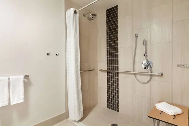 Deluxe Süit, 1 En Büyük (King) Boy Yatak, Engellilere Uygun, Manzaralı (Roll-in Shower)