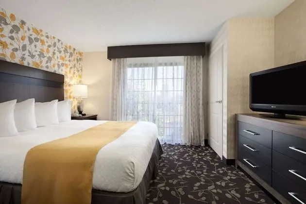 1 King Bed Suite, Pool View