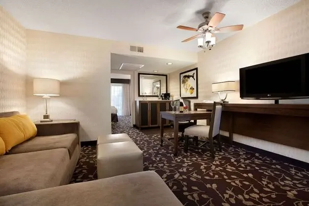 1 King Bed Suite, Pool View