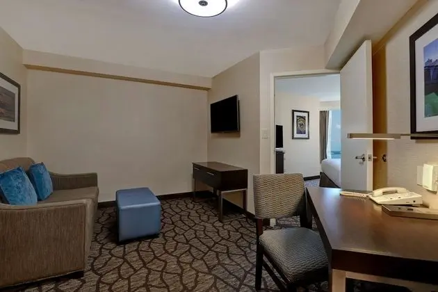 Süit, 1 En Büyük (King) Boy Yatak, Şehir Manzaralı