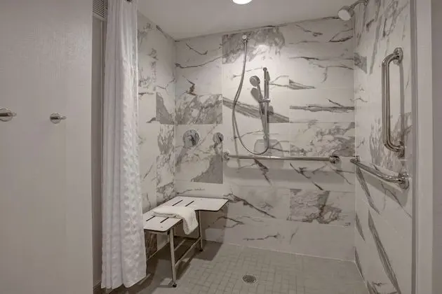 Süit, 1 En Büyük (King) Boy Yatak, Engellilere Uygun (Roll-In Shower)