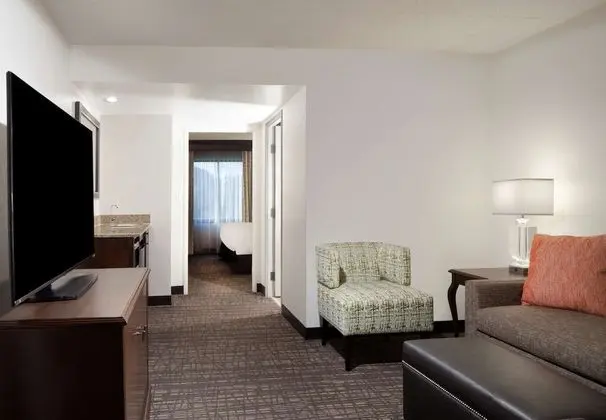 Süit, 1 En Büyük (King) Boy Yatak, Sigara İçilmez (2 Rooms)