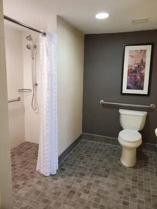 Süit, 1 En Büyük (King) Boy Yatak, Engellilere Uygun (Roll-in Shower)