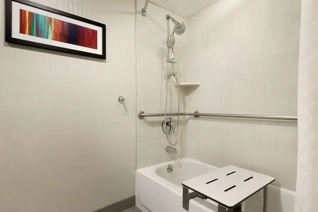 Premium Süit, 1 En Büyük (King) Boy Yatak, Engellilere Uygun, Sigara İçilmez