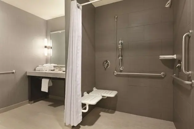 Oda, Engellilere Uygun, Sigara İçilmez (Roll-in Shower)