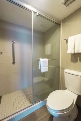 Süit, 1 En Büyük (King) Boy Yatak, Engellilere Uygun, Sigara İçilmez (Roll-in Shower)