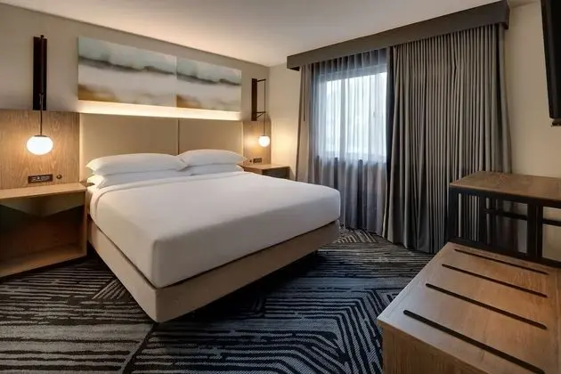 Premium Süit, 1 En Büyük (King) Boy Yatak, Sigara İçilmez