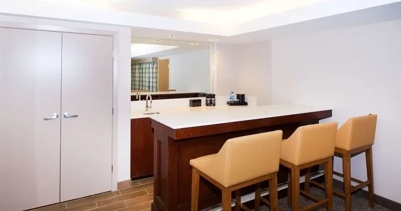 Süit, 1 En Büyük (King) Boy Yatak, Sigara İçilmez (Hospitality)