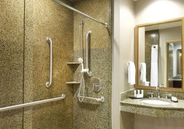Süit, 1 En Büyük (King) Boy Yatak, Sigara İçilmez (Hospitality)