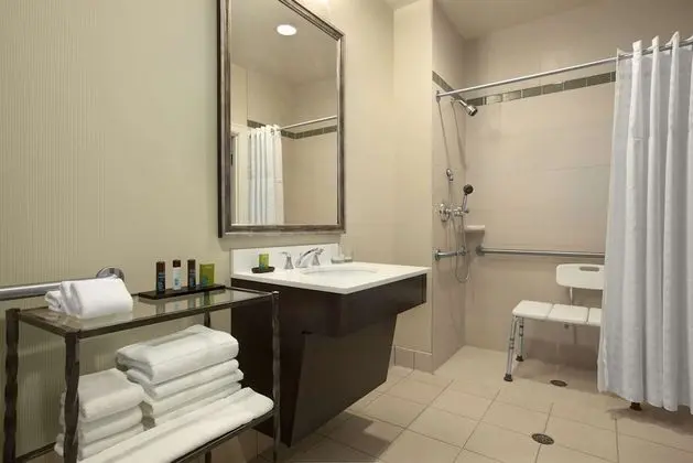 Süit, 1 En Büyük (King) Boy Yatak ve Çekyat, Engellilere Uygun, Sigara İçilmez (Roll-in Shower)