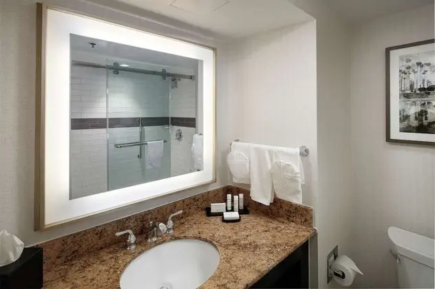 2 Room Suite, 1 King Bed, Tub/Shower Combo