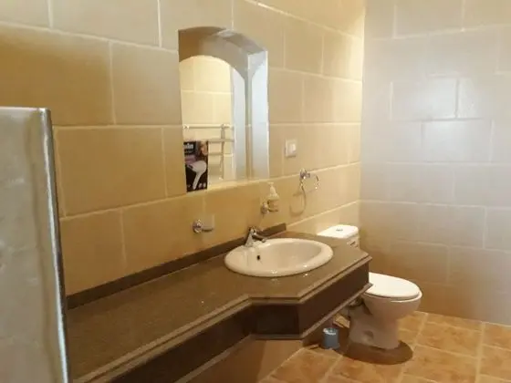 Superior Tek Büyük Yataklı Oda, 1 Yatak Odası