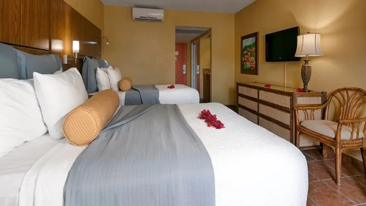 1 Çift ​​kişilik Yatak Ocean View