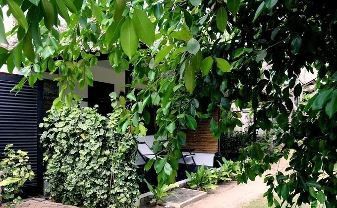 Superior Bungalov, 2 Tek Kişilik Yatak, Bahçe Manzaralı