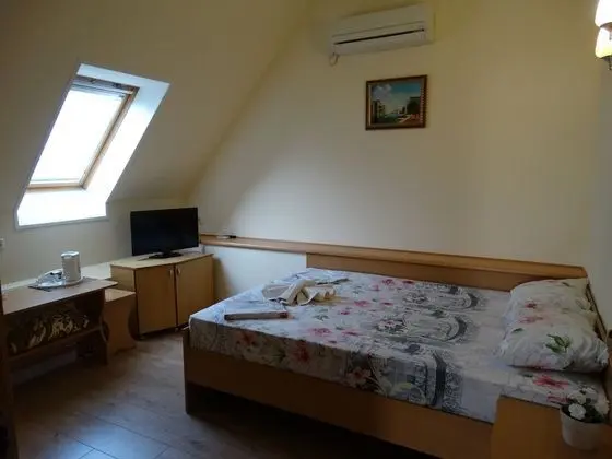 Standard Tek Büyük Yataklı Oda (11)