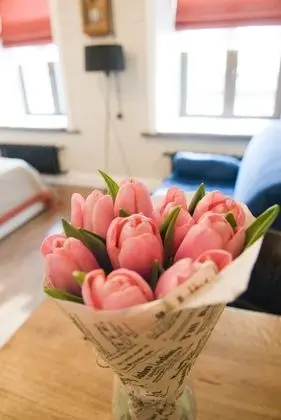 Luxury Apart Daire, Nehir Manzaralı