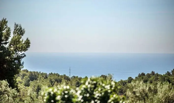 Apart Daire, 4 Yatak Odası