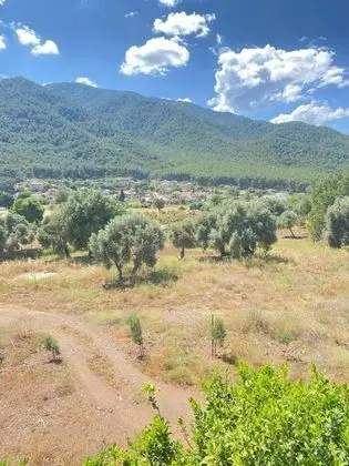 https://images.odamax.com/img/1024x768/odamax/image/upload/Emir_Palas_Hotel_202605211636171_IMG_4491.jpeg