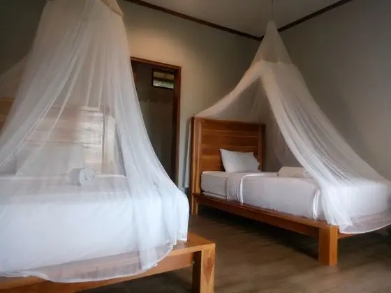 Deluxe İki Ayrı Yataklı Oda