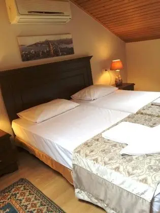 Economy Çatı Katı Süiti (Penthouse), 2 Tek Kişilik Yatak, Özel Banyo