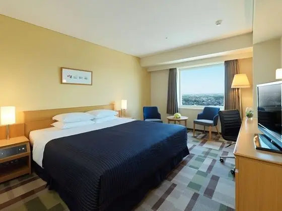 Tek Büyük Yataklı Oda, Sigara İçilmez (High Floor)