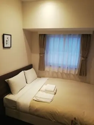 Standard Tek Büyük Yataklı Oda, Sigara İçilmez (Shower Booth Only)