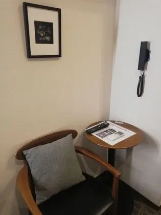 Standard Tek Büyük Yataklı Oda, Sigara İçilmez (Shower Booth Only)