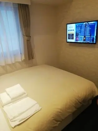 Standard Tek Büyük Yataklı Oda, Sigara İçilmez (Shower Booth Only)